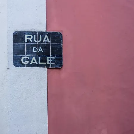 Gale Terceiro